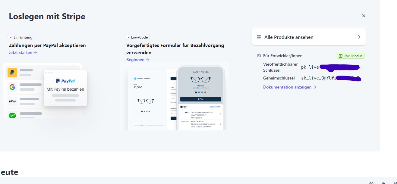 Admin Panel Stripe Einstellungen
